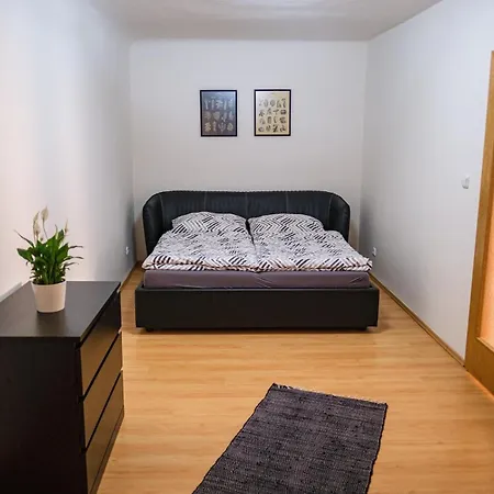 Spacious 8-person In The Heart Of * Prag