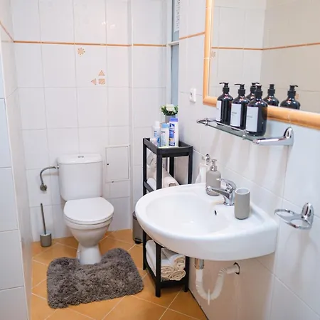 Apartment Spacious 8-person In The Heart Of *